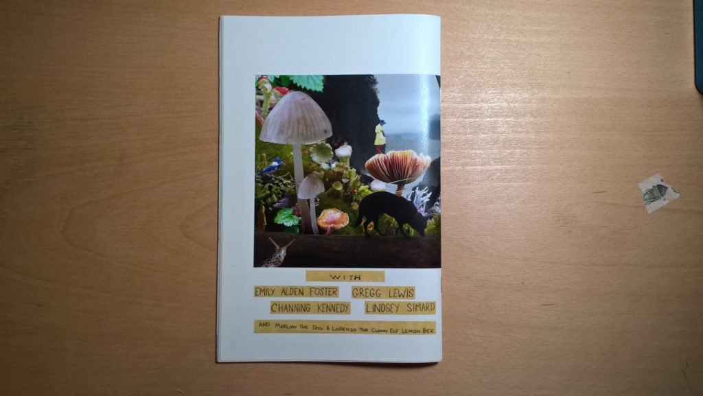Sequimming The Surface Zine Back