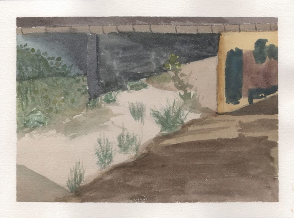 River and Foliage