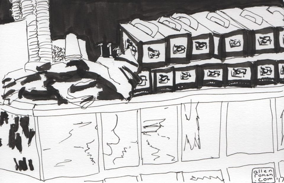 San Jose Zine Con (February 12th) And Weekend Sketches